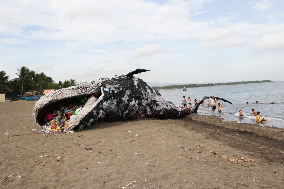 Paus Terdampar Karena Plastik