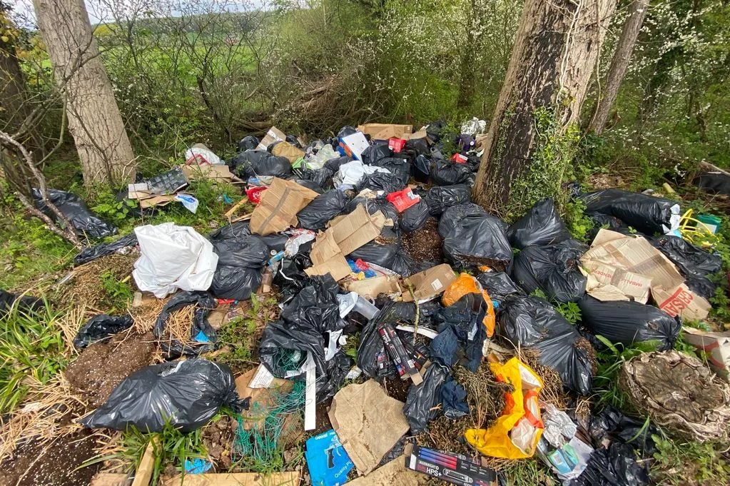dampak sampah plastik untuk hewan darat